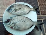 IMG_20170603_130945.jpg
