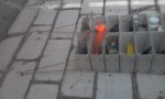 20180409_170518.jpg